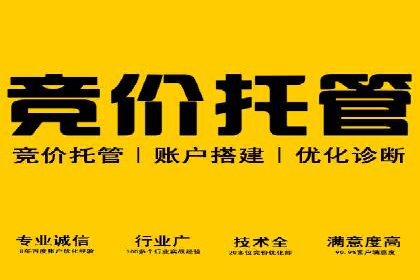 实战技巧：竞价推广案例解析与优化策略